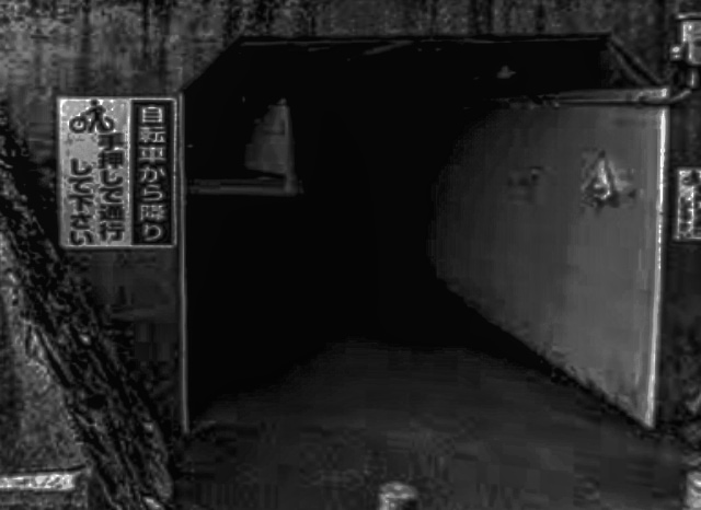 枚方大橋南の自転車道トンネルの外観