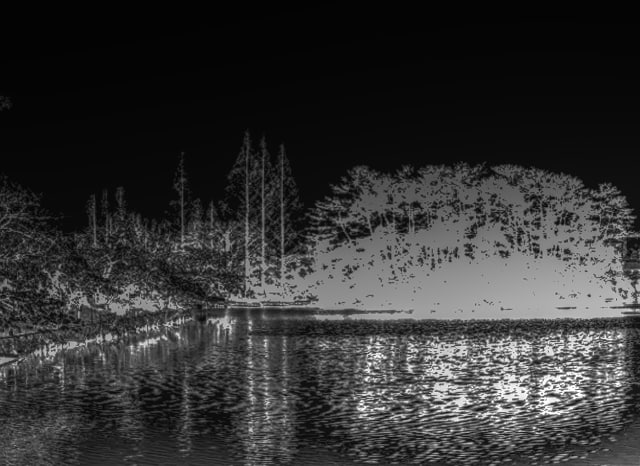 桃ヶ池公園の外観