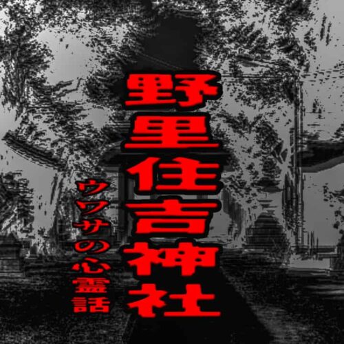 野里住吉神社のウワサの心霊話
