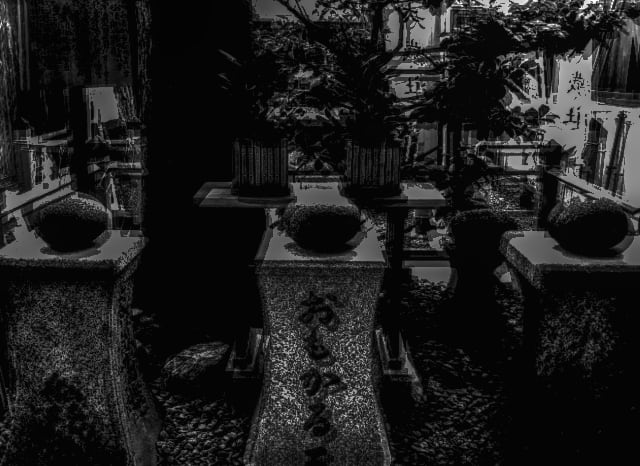 住吉区の大歳神社（おいとしぼし社）の外観