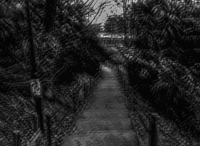 吹田市長野東の長野公園の外観