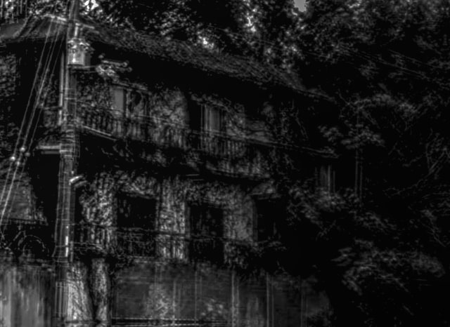 四條畷の廃屋の外観