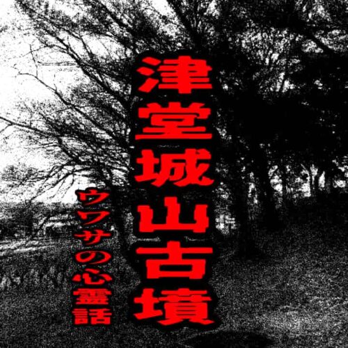 津堂城山古墳のウワサの心霊話