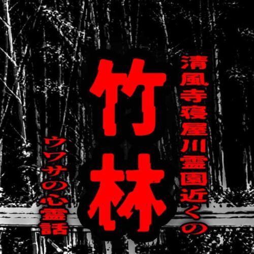 清風寺寝屋川霊園近くの竹林のウワサの心霊話