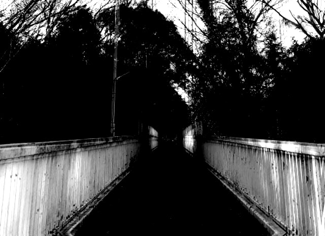 聖アンデレ橋の外観