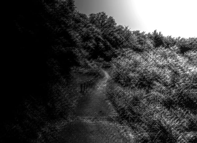 茨木カンツリークラブ ジョギングロードの外観