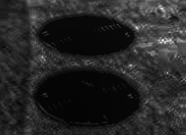 甲山事件の浄化槽イメージ