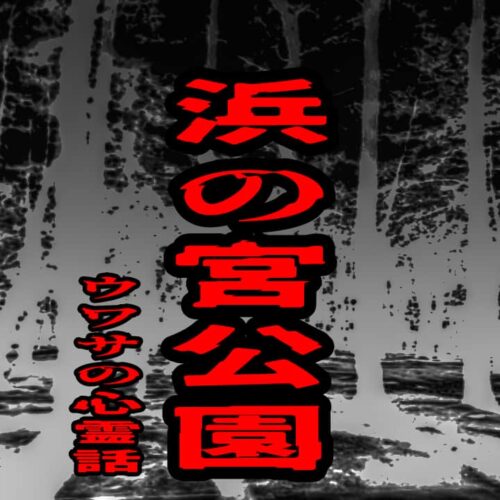 浜の宮公園のウワサの心霊話
