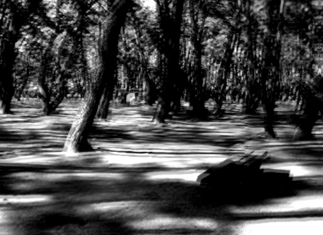 浜の宮公園の外観