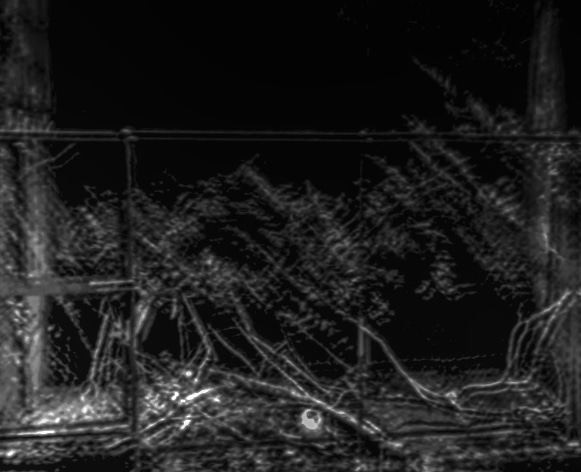 船坂峠の冷水の外観