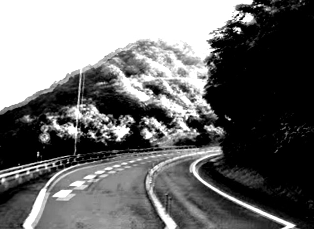 魔のカーブ（兵庫）の外観