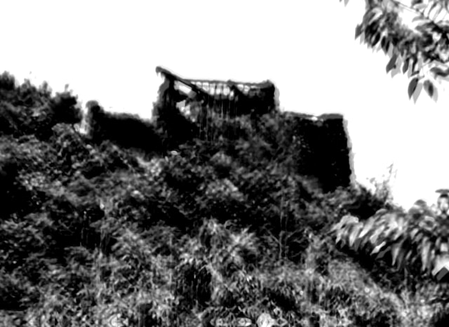 鳥飼の廃墟（五色町の廃屋）の外観