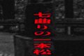 七曲りの一本松